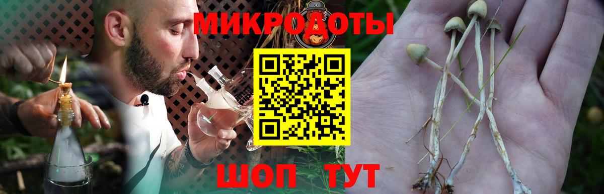 Лабинск  Галлюциногенные грибы мухоморы  Вход с VPN  Псилоцибиновые грибы MAGIC MUSHROOMS 